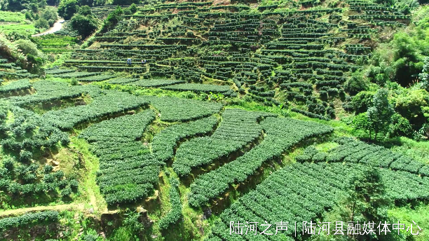 微信圖片_20211111084422.jpg