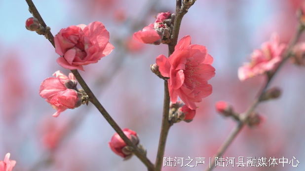 微信圖片_20220309092954.jpg