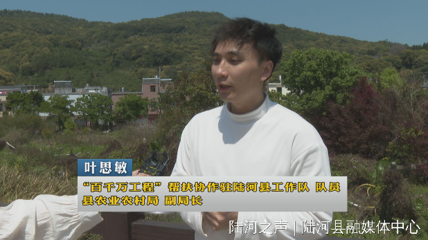 touchtv1742987035-hdbb1qyg5wuaqzqz174298703420252660.jpg