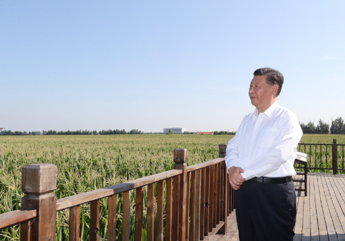 7月22日至24日，中共中央總書記、國家主席、中央軍委主席習近平在吉林省考察。這是7月22日下午，習近平考察四平市梨樹縣國家百萬畝綠色食品原料（玉米）標準化生產(chǎn)基地核心示范區(qū)地塊。新華社記者　鞠鵬　攝